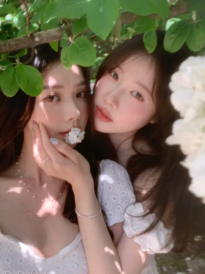 里番acg下载数据图表