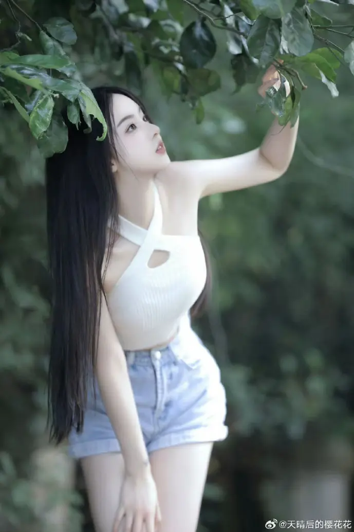 团队使用飞鸽互联协作场景